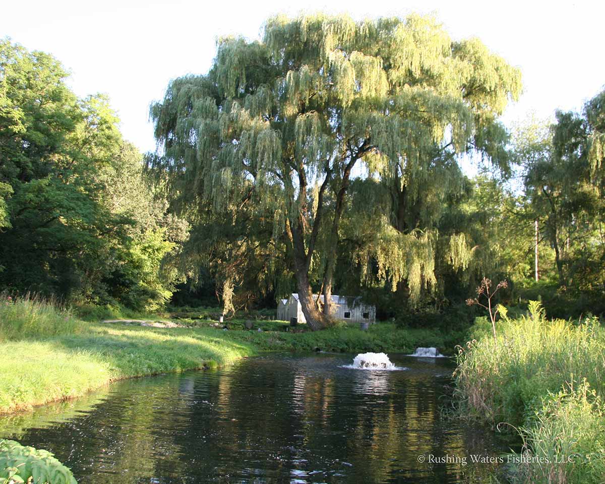 About Our Farm | Rushing Waters Fisheries | Palmyra, Wisconsin