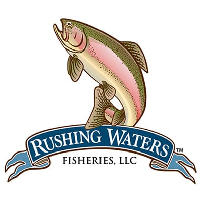Rushing Waters Fisheries, Rainbow Trout